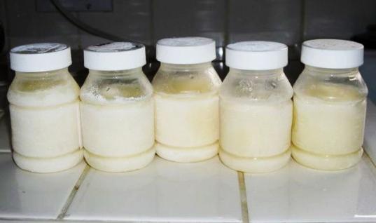 Как хранить сцеженное грудное молоко дома :: SYL.ru