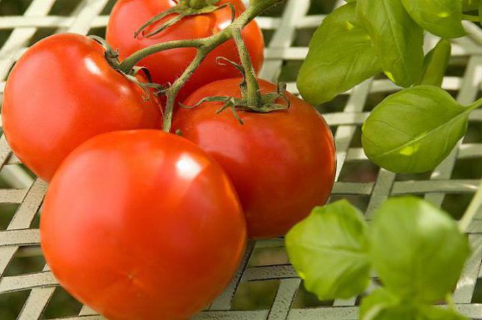 какие витамины в огурцах и помидорах