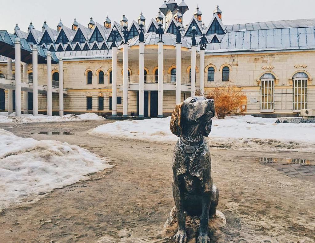 Памятник биму в воронеже фото