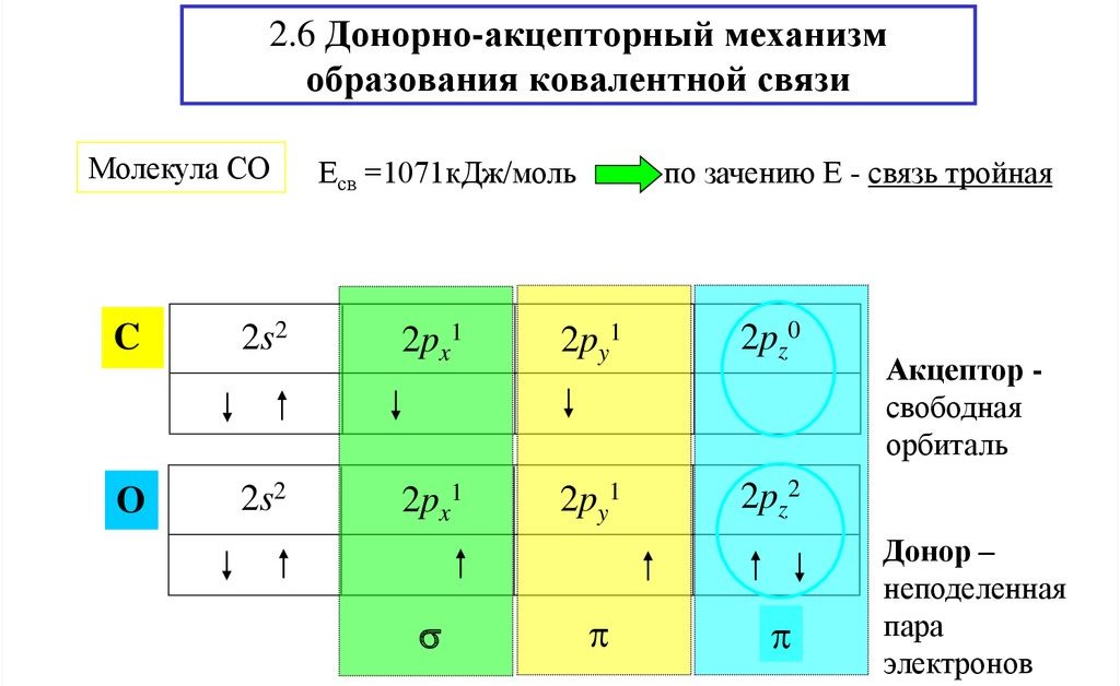 образование СО