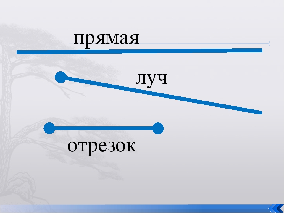 Прямая картинка геометрия