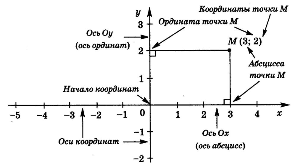 Четверти оси ординат. Координатная ось 7 класс. Ось абсцисс и ось ординат график. Ось абсцисс ось ординат 6 класс математика. Точка в системе координат.